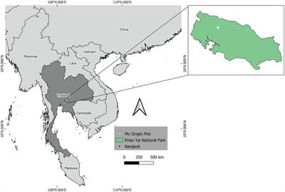 Seed Size Variation of Trees and Lianas in a Tropical Forest of Southeast Asia: Allometry, Phylogeny, and Seed Trait - Plant Functional Trait Relationships